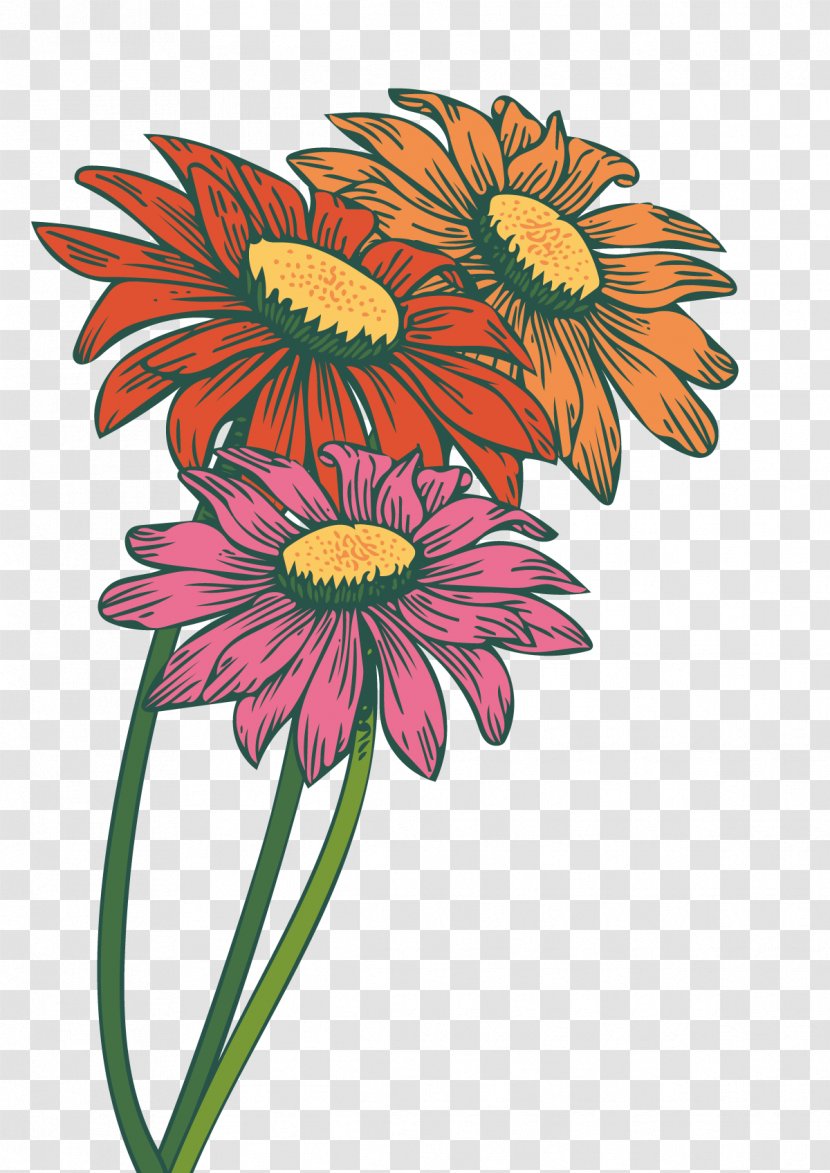 Common Daisy Transvaal Sunflower Chrysanthemum - Floristry - Vector Gerbera Transparent PNG