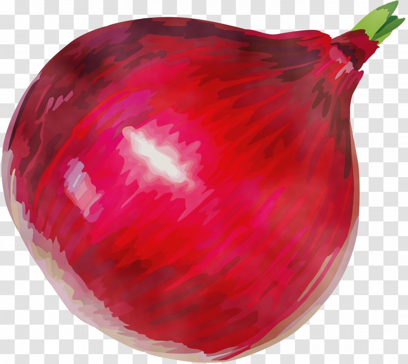 Red Onion Clip Art Afghan Cuisine - Fruit - Onions Transparent PNG