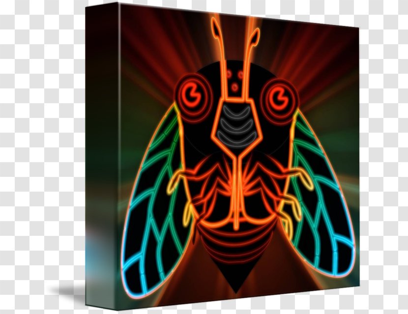 Symmetry - Cicada Transparent PNG