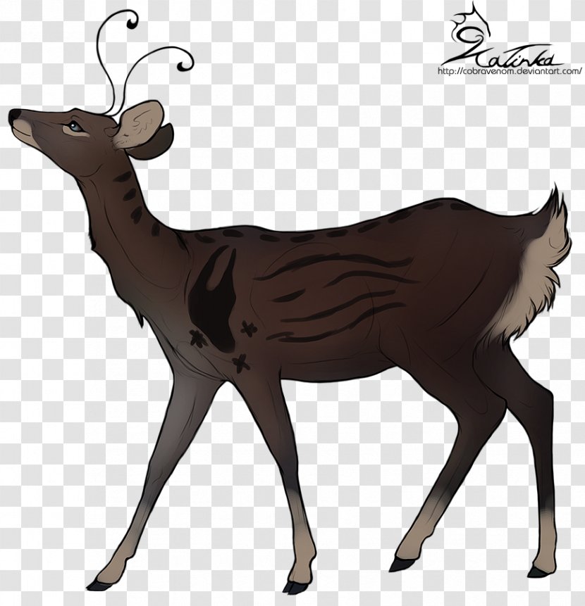 Elk Reindeer DeviantArt - Cattle Like Mammal - Sika Deer Transparent PNG