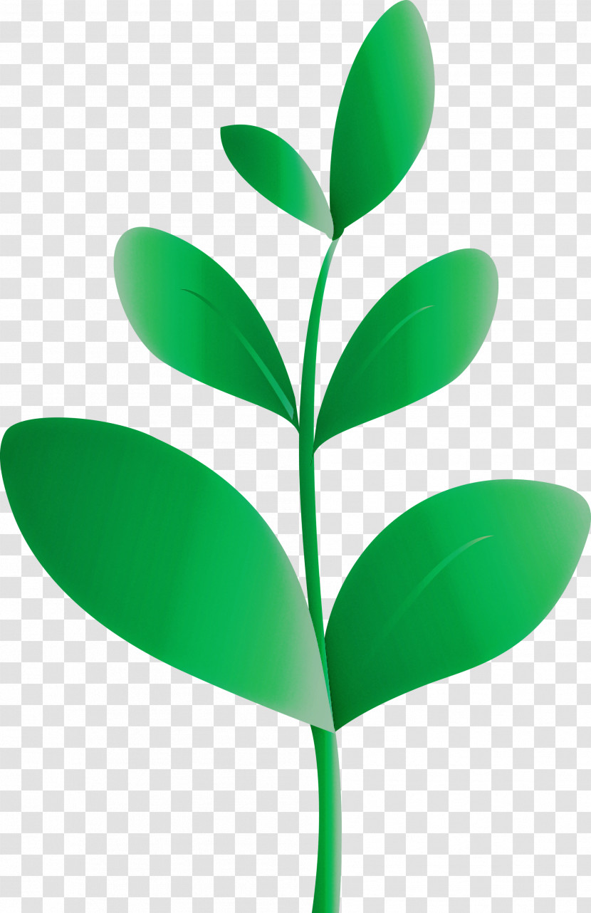 Sprout Bud Seed Transparent PNG