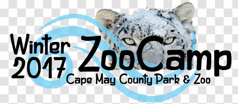 Cape May County Park & Zoo Cat Durrell Wildlife ZooTampa At Lowry - Watercolor Transparent PNG