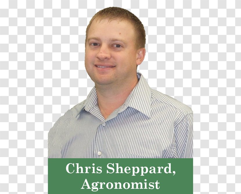 Chris Sheppard Broom-corn Maize Crop Grain - Sorghum Transparent PNG
