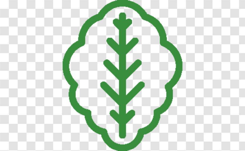 Symbol Lettuce - Green Transparent PNG