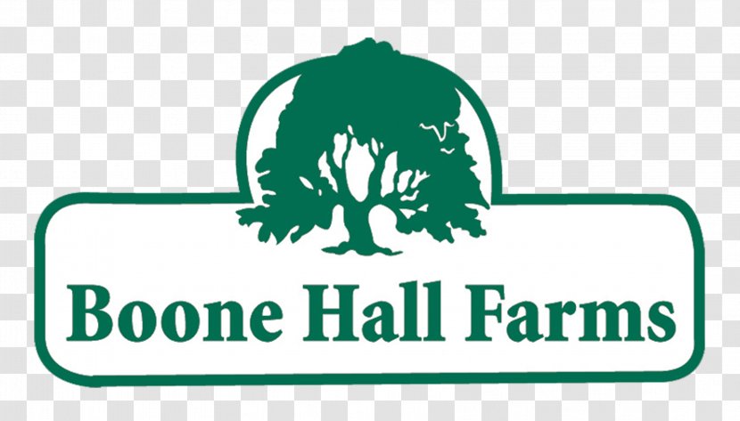 Boone Hall Farms Market Logo Charleston - Plantation - Farmers Transparent PNG