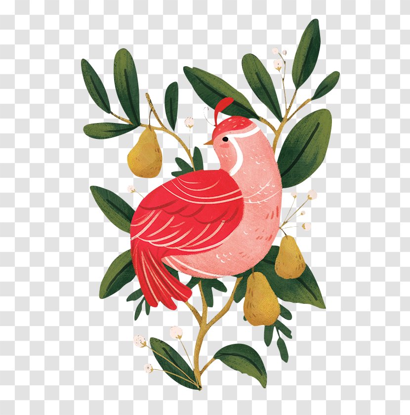 Chicken Illustration Design Image - Rgb Color Model - Pear Tree Transparent PNG