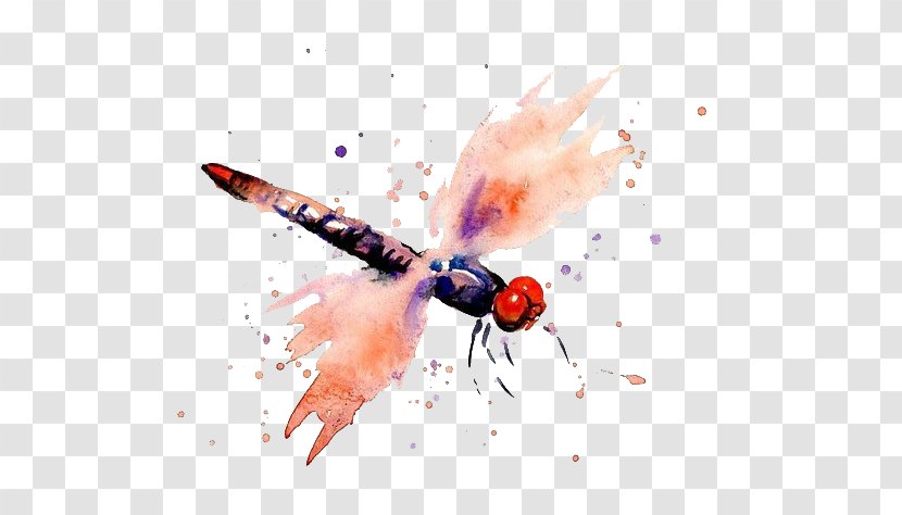 Watercolor Painting Dragonfly Transparent PNG