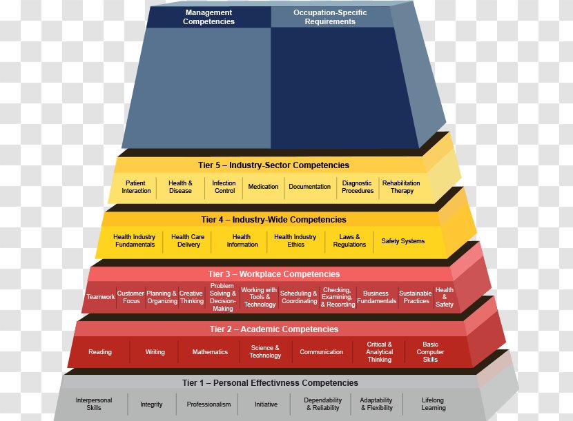 Competence Building Employability Management Employment - Engineer Transparent PNG