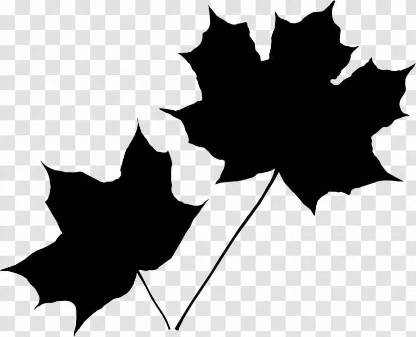 Maple Leaf Autumn White Red - Yellow - Black Transparent PNG