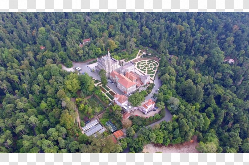 Buçaco Forest Palace Convento De Santa Cruz Do Serra Fundação Mata Bussaco - Coimbra - Park Transparent PNG