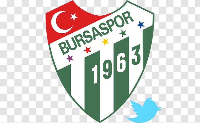 Bursaspor 201718 Süper Lig Alanyaspor İstanbul Başakşehir F.K. Green