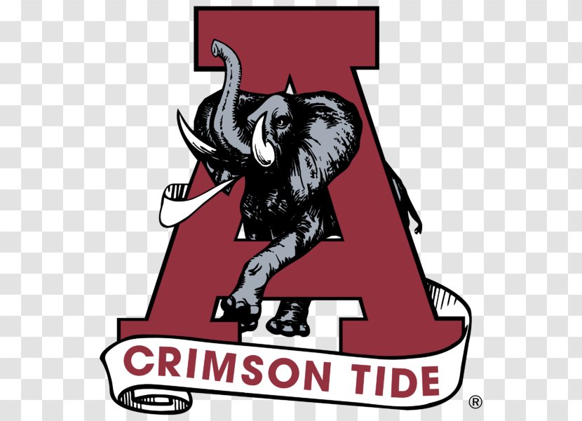 University Of Alabama Crimson Tide Football NCAA Division I Bowl Subdivision Kentucky Wildcats Roll - Area - American Transparent PNG