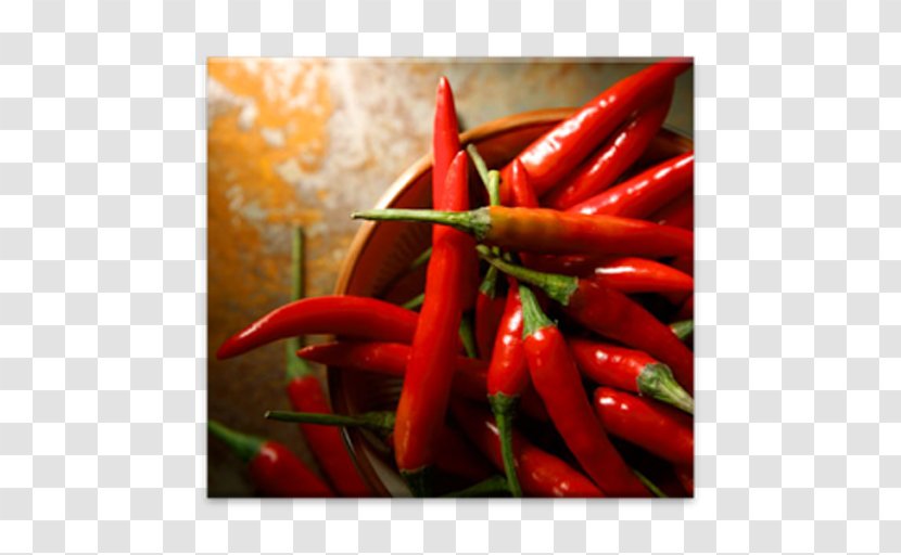 Chili Pepper Cayenne Capsaicin Bell Black - Local Food Transparent PNG