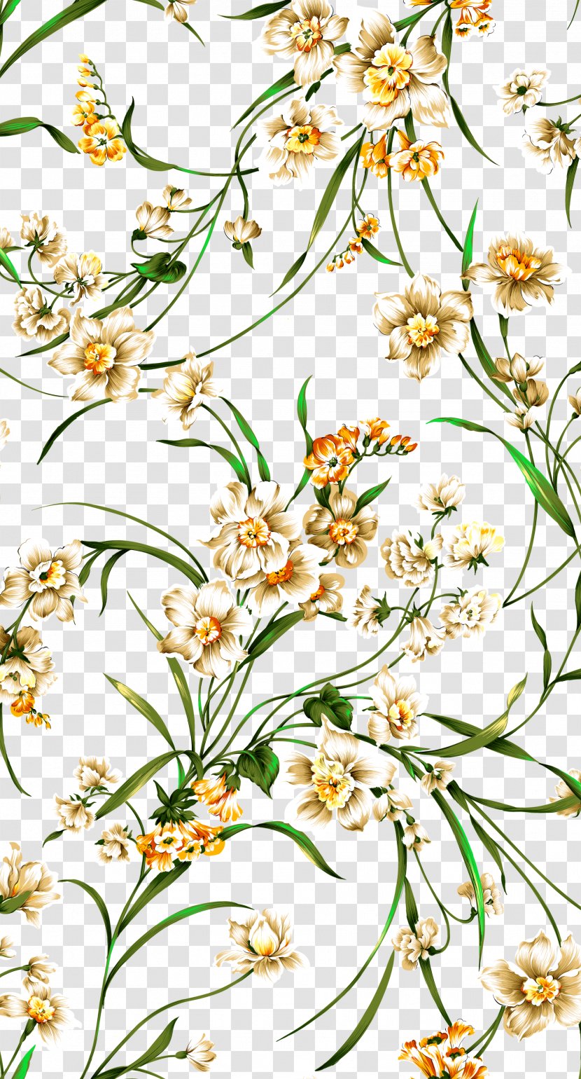 Orchids Flower Postgraduate Admission Test - Pattern - Hand-painted Orchid Background Transparent PNG