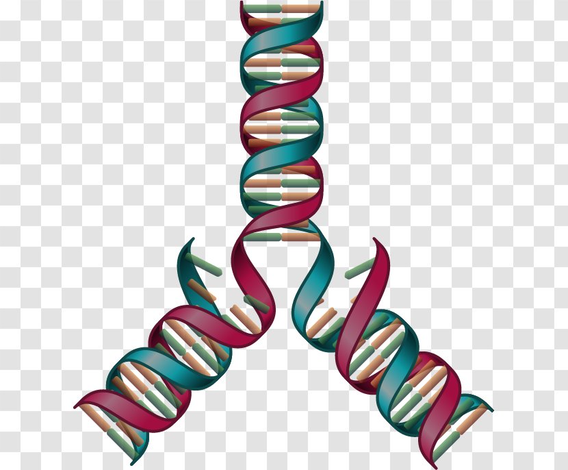 Reactome Biological Pathway Knowledge Clip Art - Intuition - Visualization Transparent PNG