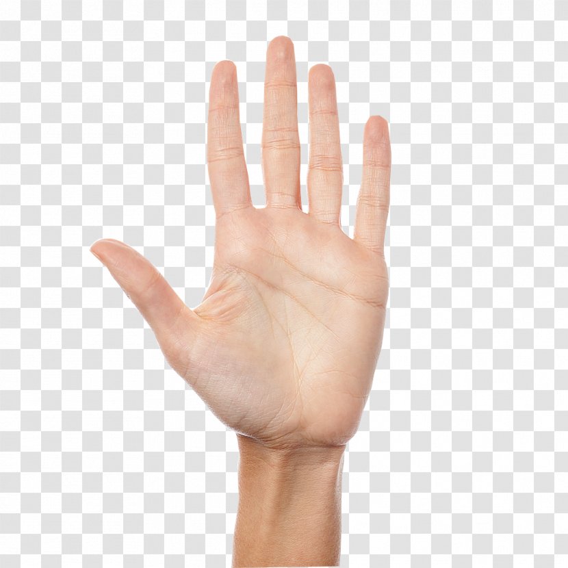 Stock Photography Hand Finger Woman - Little - HANDS RAISED Transparent PNG