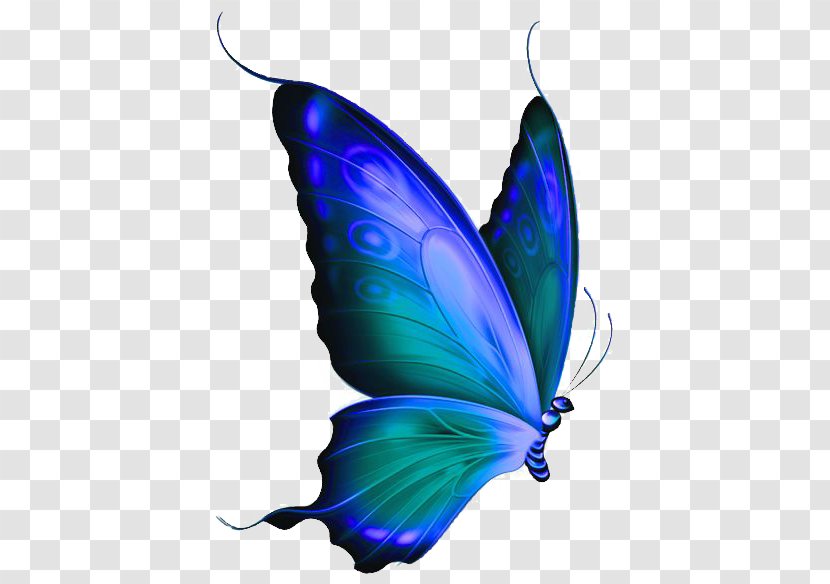 Monarch Butterfly Morpho Menelaus Blue Clip Art - Bluegreen Transparent PNG