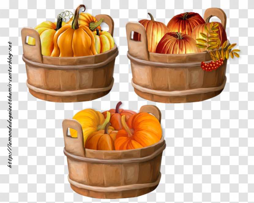 Halloween Film Series Gourd Easter Carnival - Photography - Et Transparent PNG