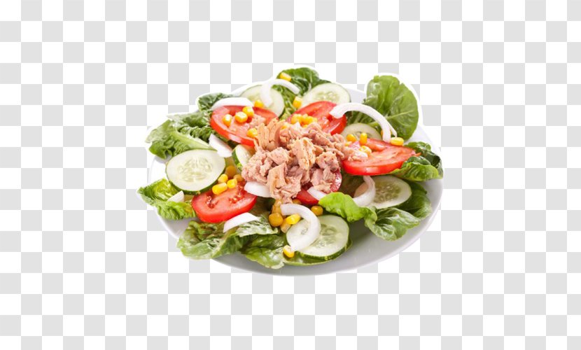 Tuna Salad Nicoise Dish Lettuce - Spinach - Salade Verte Transparent PNG
