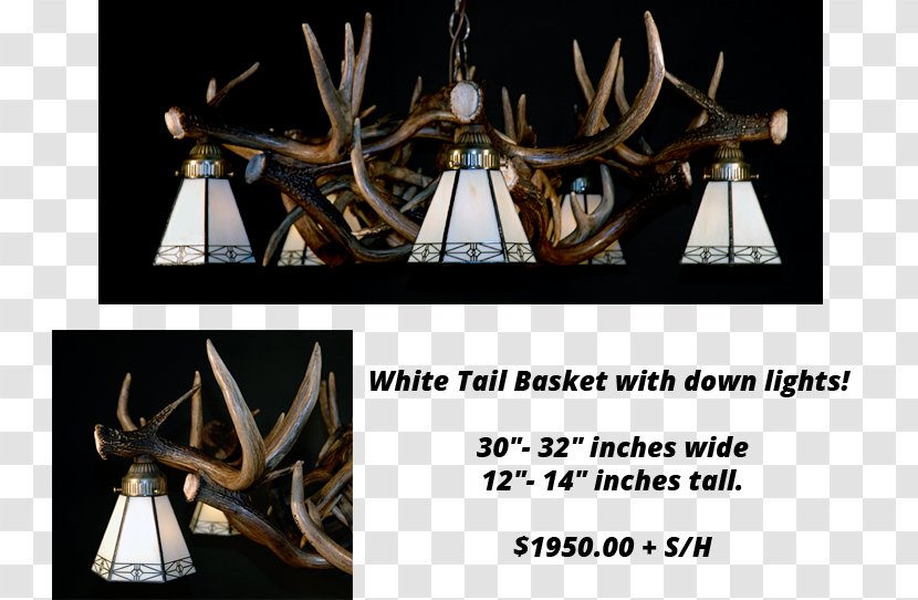 Antler White-tailed Deer Elk Chandelier Transparent PNG