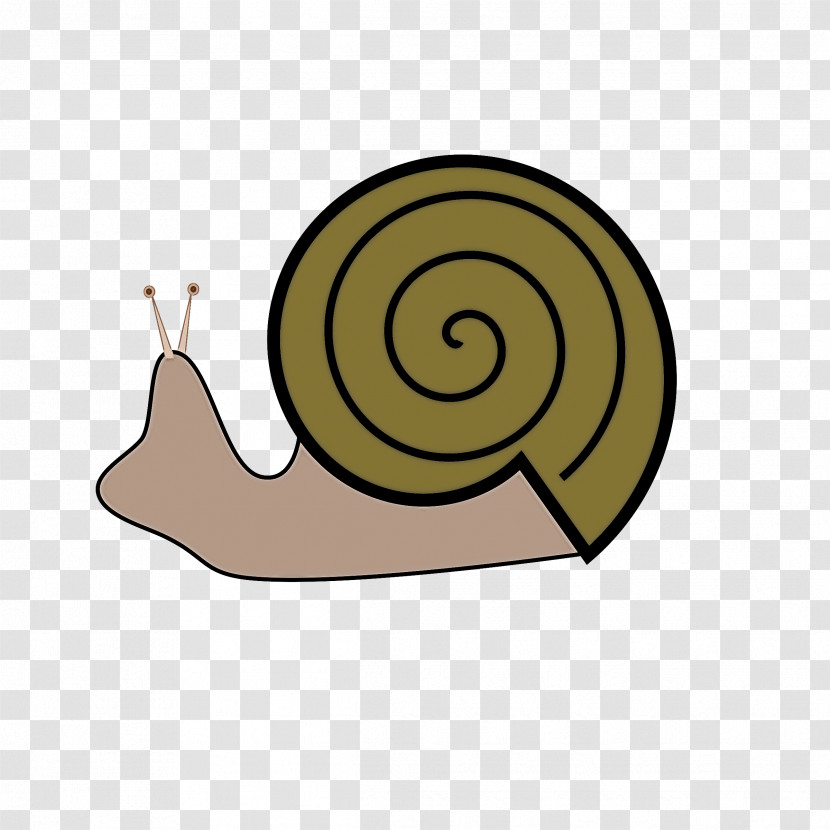 Snails And Slugs Snail Sea Snail Slug Spiral Transparent PNG