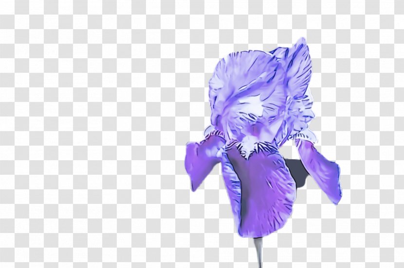 Lavender - Violet - Iris Family Cut Flowers Transparent PNG