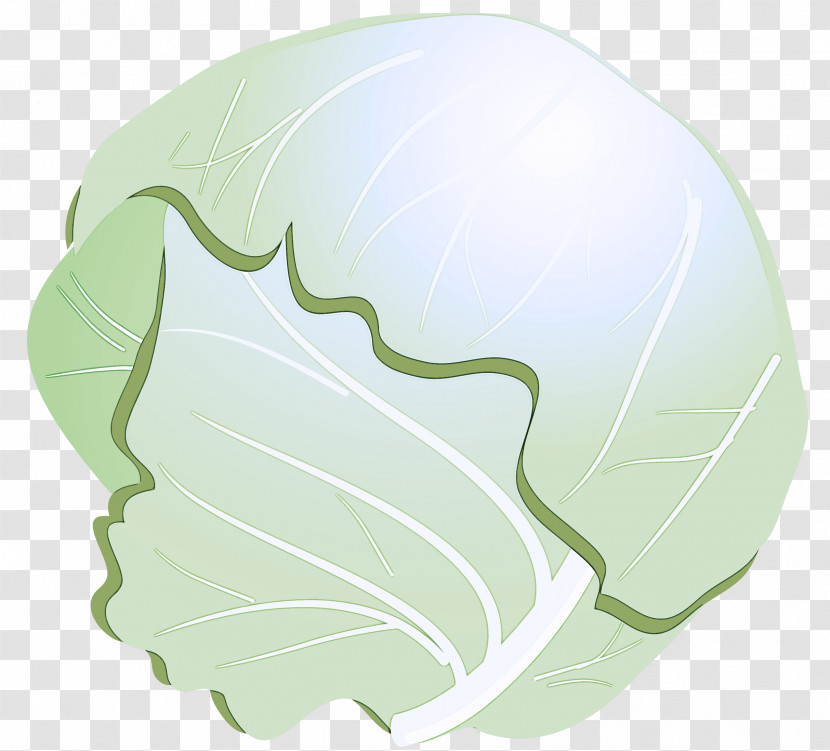 Cabbage Green Leaf Logo Plant Transparent PNG