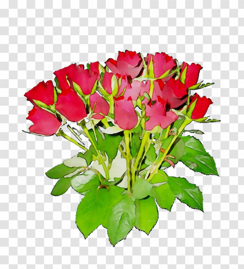 Garden Roses Floribunda Floral Design Cut Flowers - Family M Invest Doo - Petal Transparent PNG