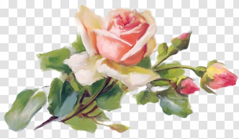 Garden Roses Painting Image Art Download - Petal Transparent PNG