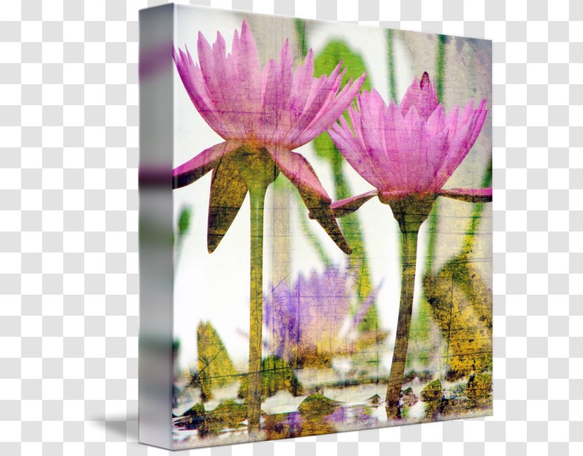 Abstract Art Water Lilies Artist Printmaking - Flower Transparent PNG