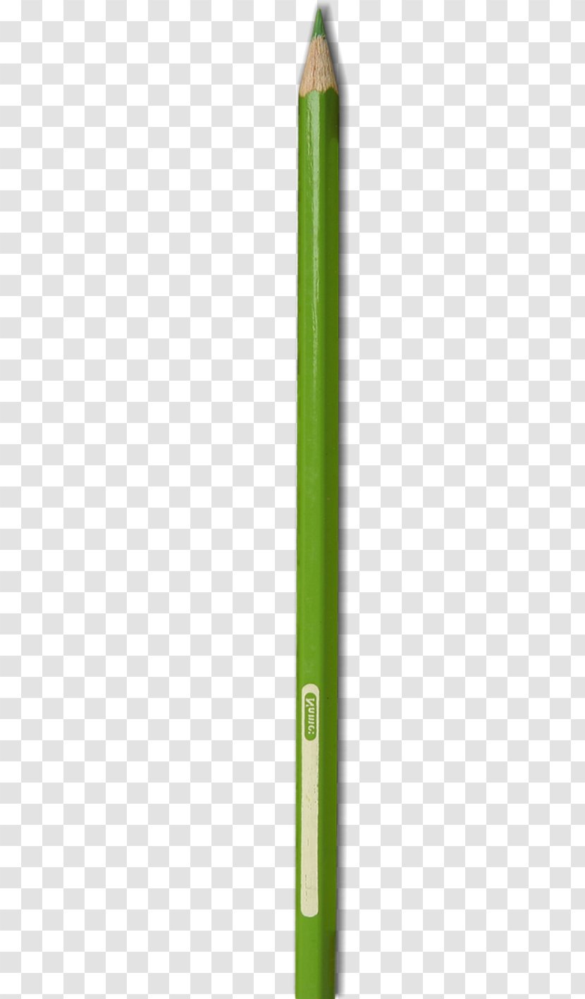Pen - A Green Paint Transparent PNG