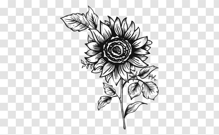 Common Sunflower Drawing Painting - Black - Girasoles Transparent PNG