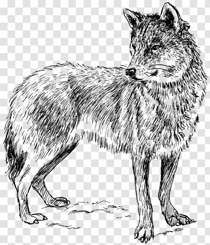 Dog Arctic Wolf Black Clip Art - Whiskers Transparent PNG