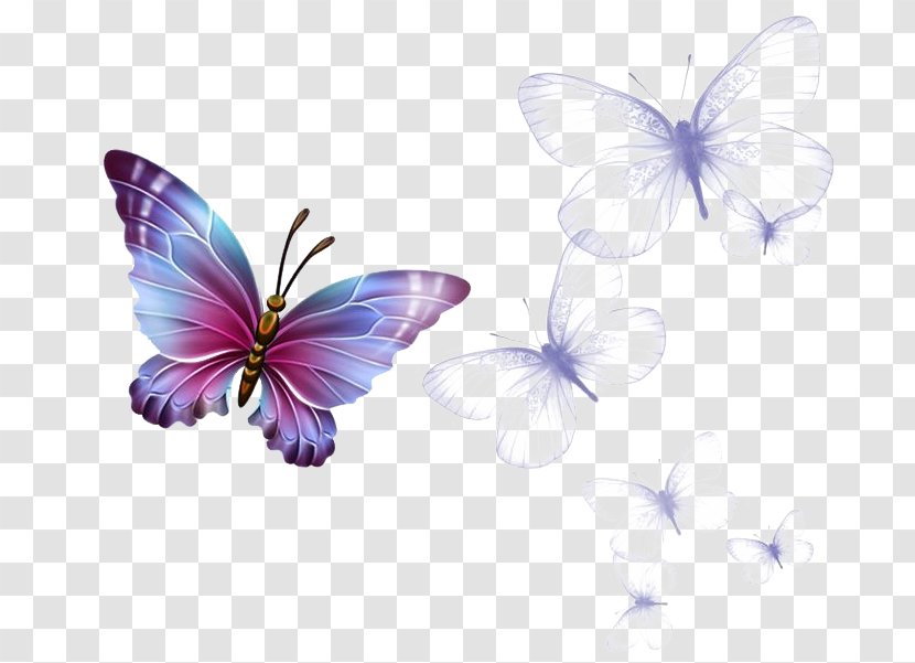 Monarch Butterfly Greta Oto Clip Art - Lilac Transparent PNG