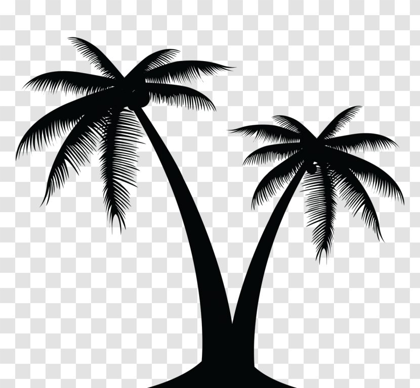Arecaceae Tree Clip Art - Black And White Transparent PNG