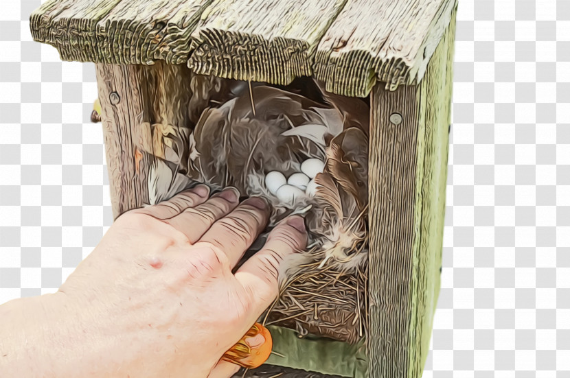 Birds /m/083vt Bird Nest Wood Nest+m Transparent PNG