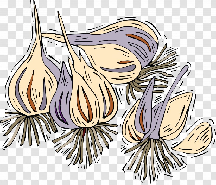 Garlic Dal Heirloom Tomato Sausage Clip Art - Plant - And Honey Transparent PNG