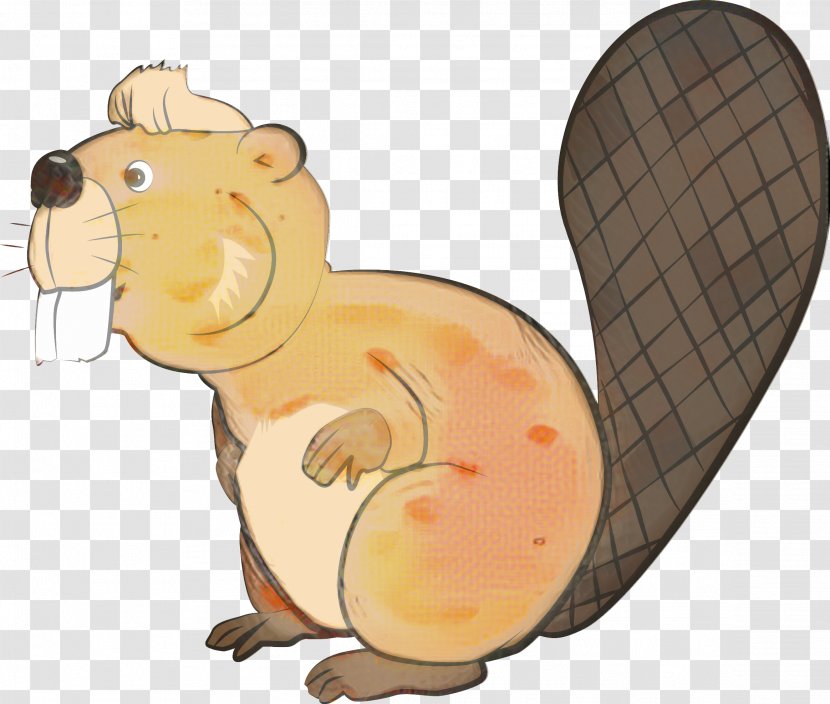 Beaver Cartoon - Ferret Squirrel Transparent PNG