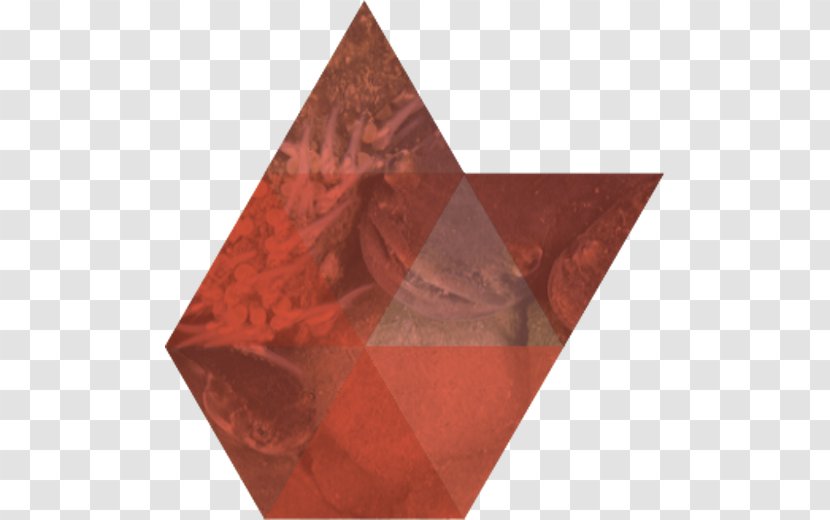 Red Triangle Color Here & Now - Remaining Transparent PNG