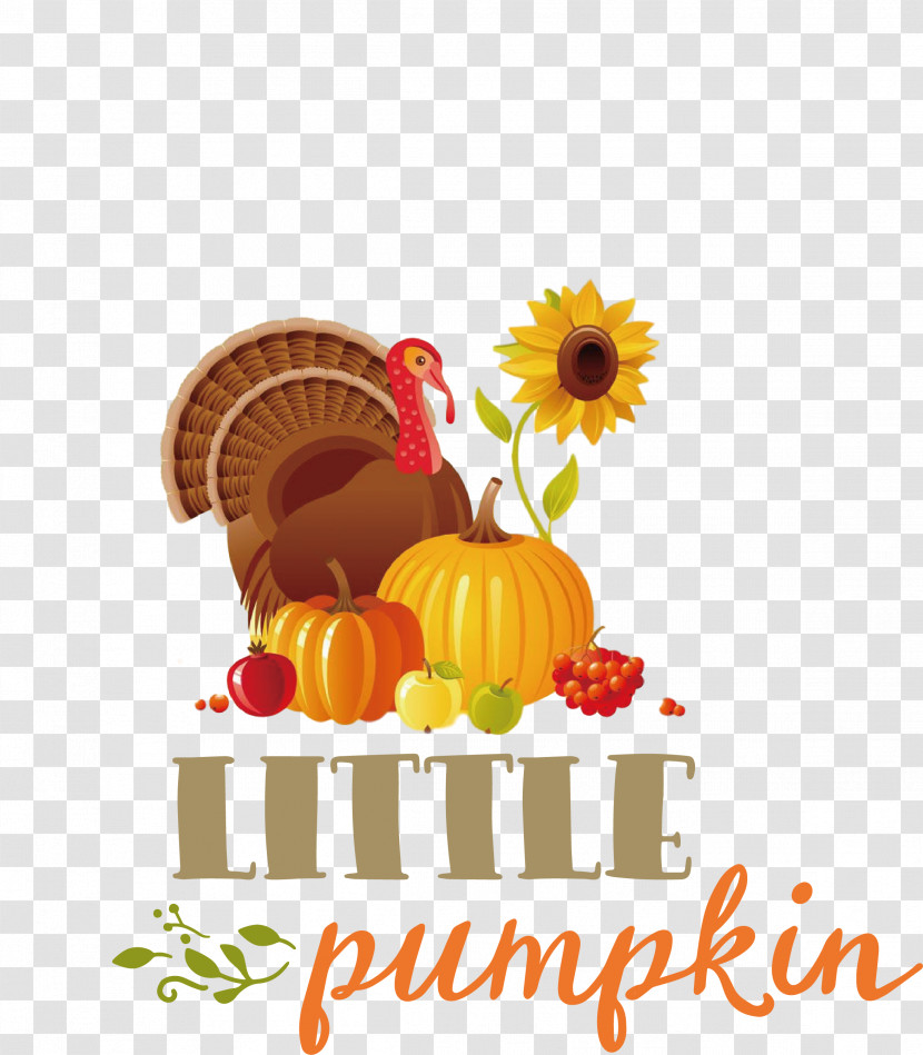 Little Pumpkin Thanksgiving Autumn Transparent PNG