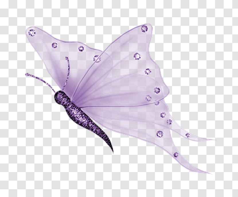 Glasswing Butterfly Clip Art Insect - Pollinator - Transparent Transparent PNG