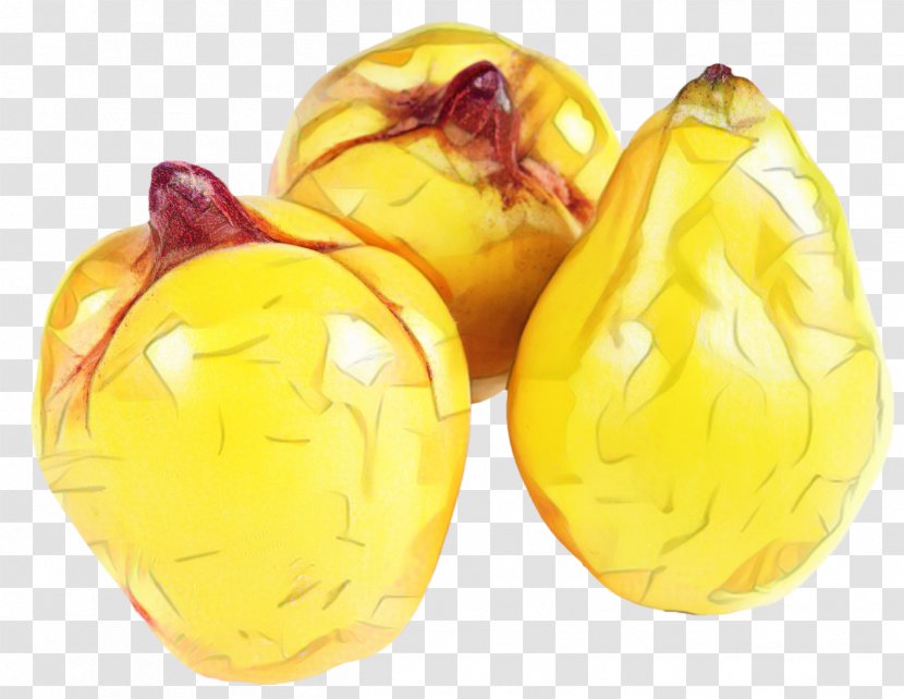 Lemon Tree - Fruit - Plant Yellow Transparent PNG