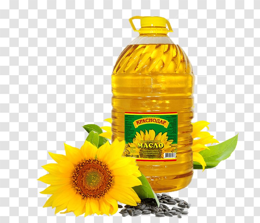 Common Sunflower Oil Refining Seed Transparent PNG
