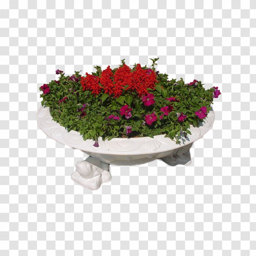 Plate-bande Flower Garden Rose - Floral Design - King Disc Transparent PNG