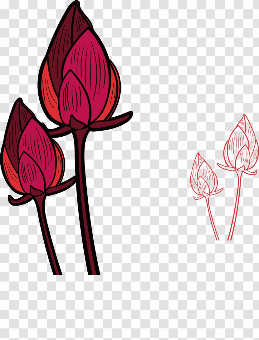 Red Floral Design - Flora - Painted Lotus Bud Transparent PNG