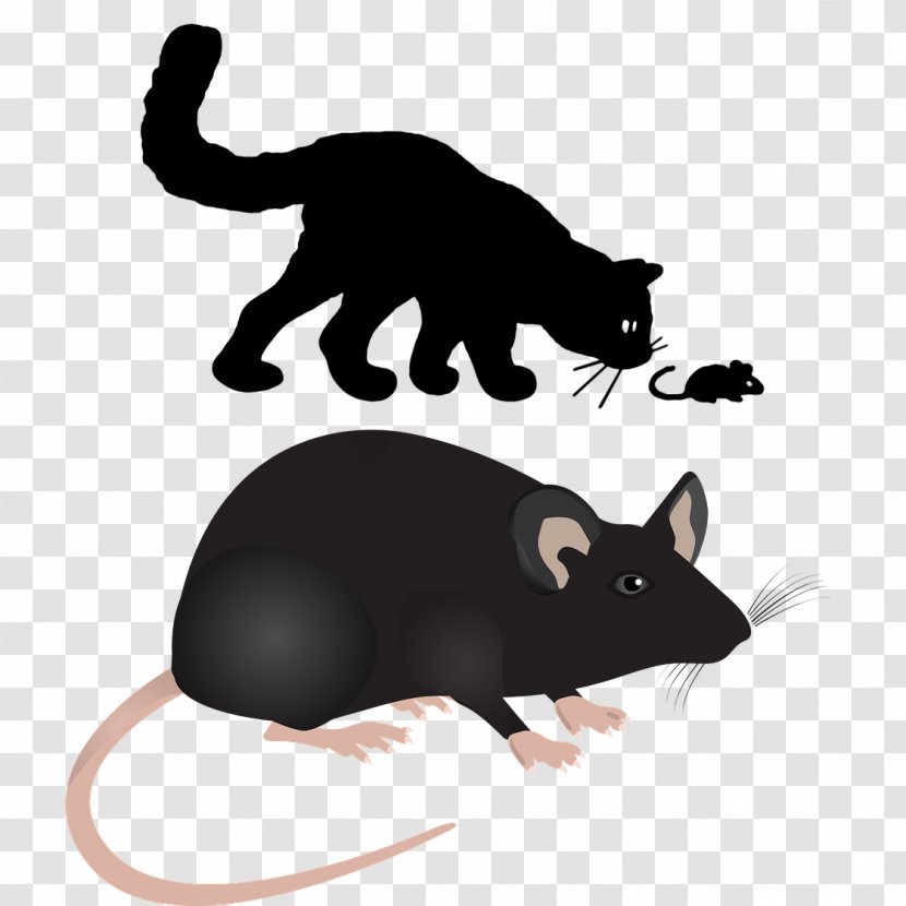 Labrador Retriever Computer Mouse Rodent Rat - Mammal - Tom And Jerry Together Transparent PNG