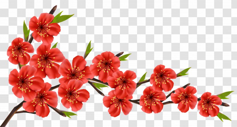Flowery Branch Clip Art - Flowering Plant - Red Spring Clipart Image Transparent PNG
