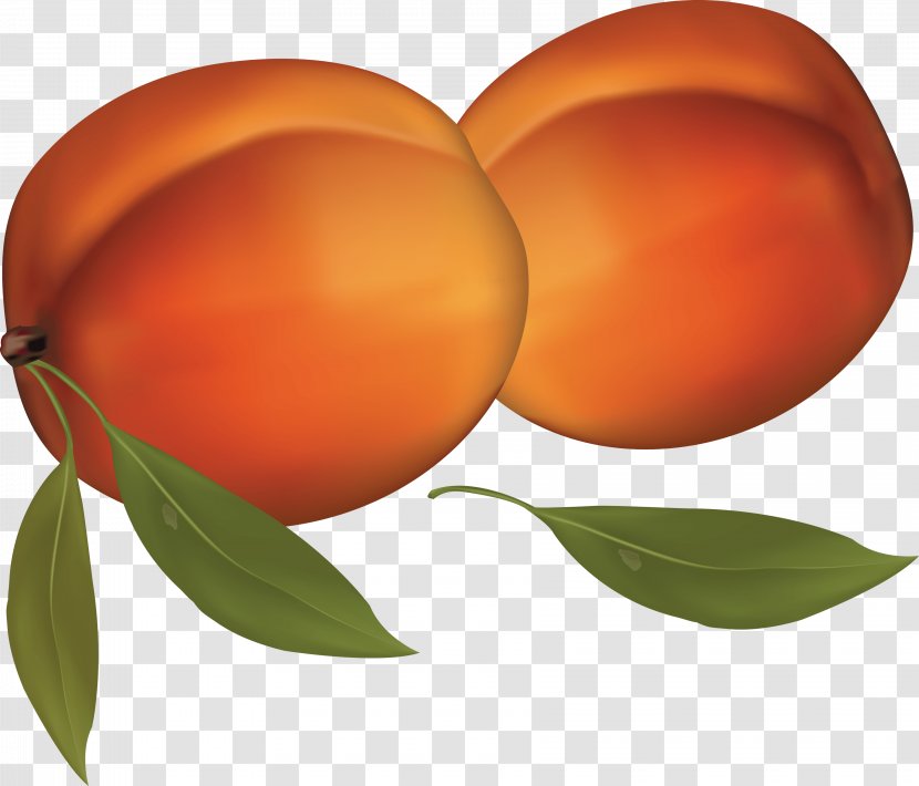 Peaches And Cream Clip Art - Citrus - Peach Image Transparent PNG