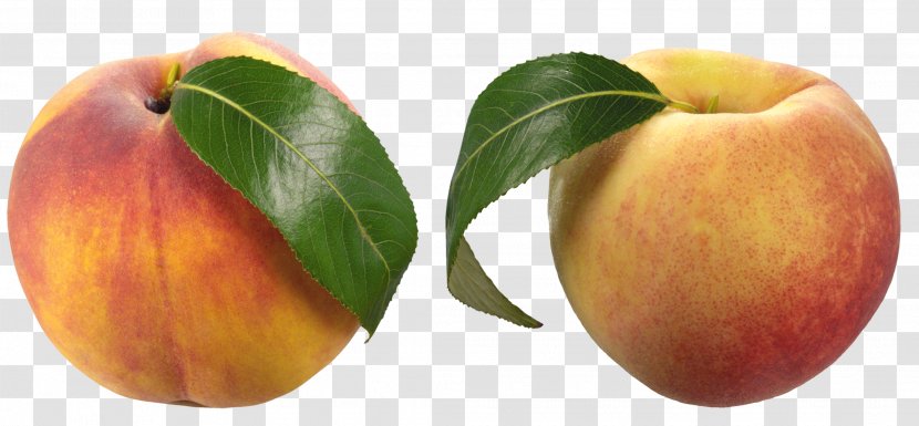 Nectarine Saturn Peach Clip Art - Apple - Food Transparent PNG