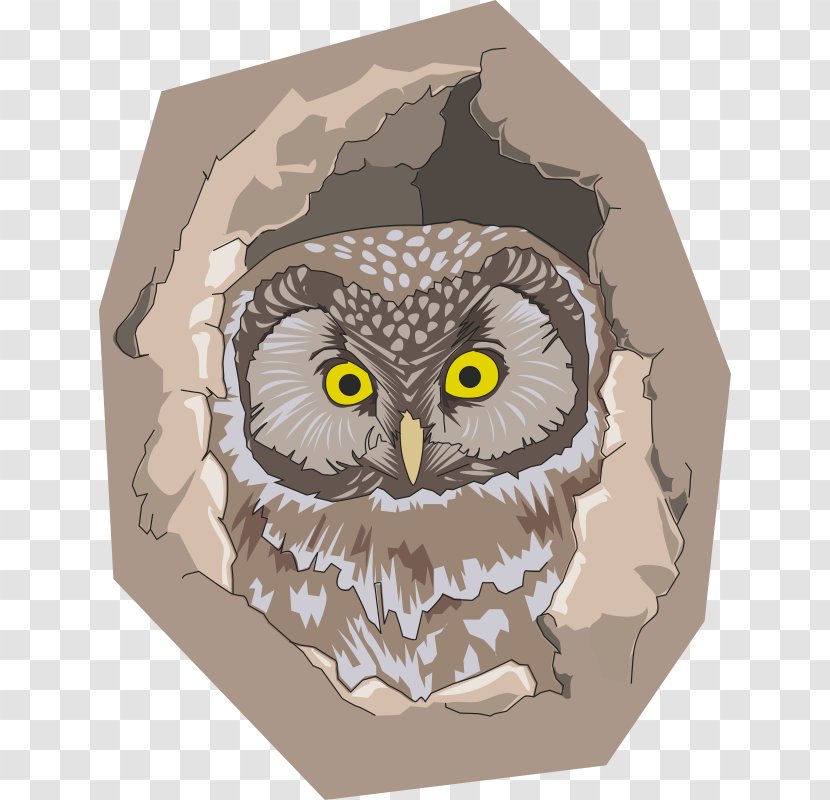 Owl Bird Tree Hollow Clip Art - Nest - Birds Transparent PNG